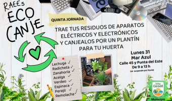 QUINTA JORNADA DE ECOCANJE EN MAR AZUL